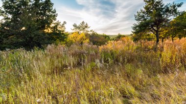 Tepe üzerinde sonbahar bitkiler üzerinde günbatımı bulutlar