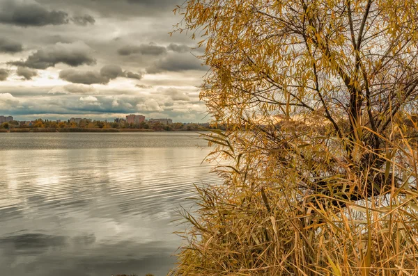 Autumn at Kharkiv park with lake — Stock Photo, Image