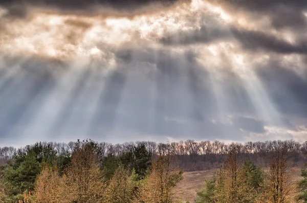 Grinzi de soare la cer noros în parcul de toamnă — Fotografie, imagine de stoc