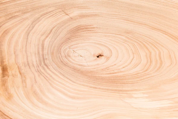 Textura de madera de árbol —  Fotos de Stock