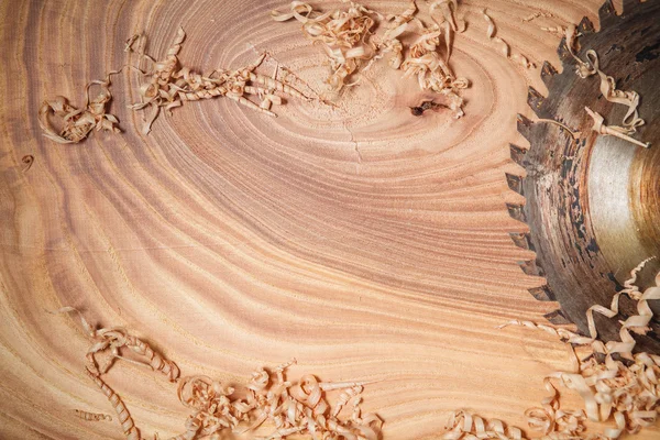 Holzstruktur der Kreissäge — Stockfoto