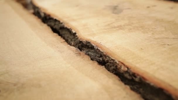 Oak tree bark texture — Stock Video