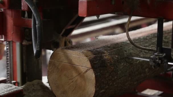 Máquina madera aserrada — Vídeos de Stock