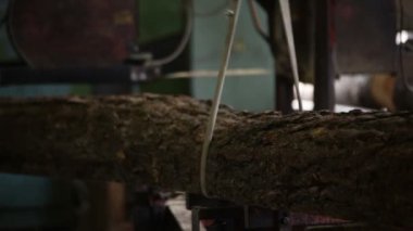 üretim ahşap ahşap