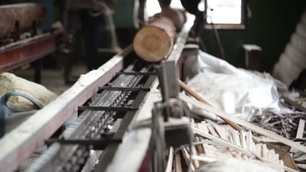 Planta de processamento de madeira — Vídeo de Stock