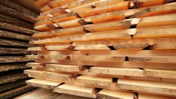 Producción de tableros de madera — Vídeos de Stock