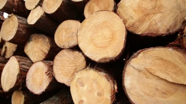 Tablero de madera de construcción de madera — Vídeos de Stock