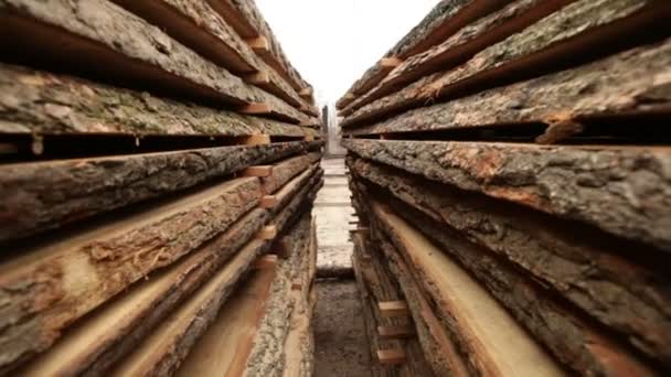 Stock timber wood — Stock Video