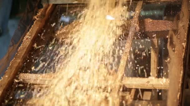 Máquina trituradora de madera — Vídeo de stock