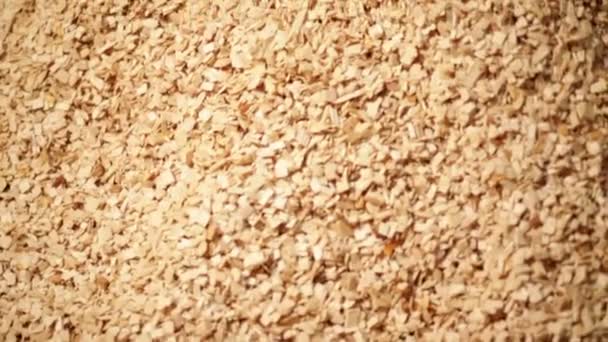 Production of wood chips — Stock Video