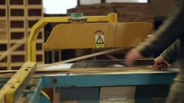 Daire testere iş marangoz