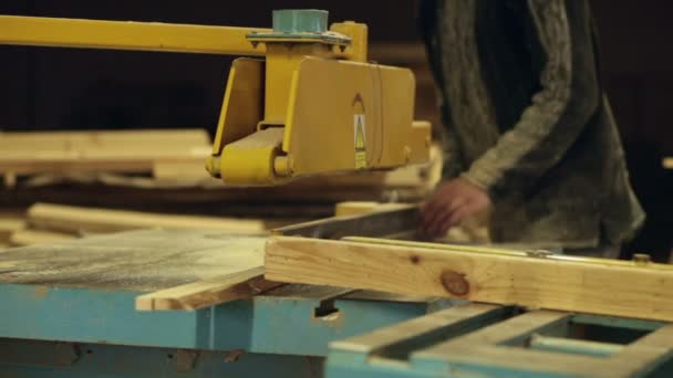 Transportband logboeken hout — Stockvideo