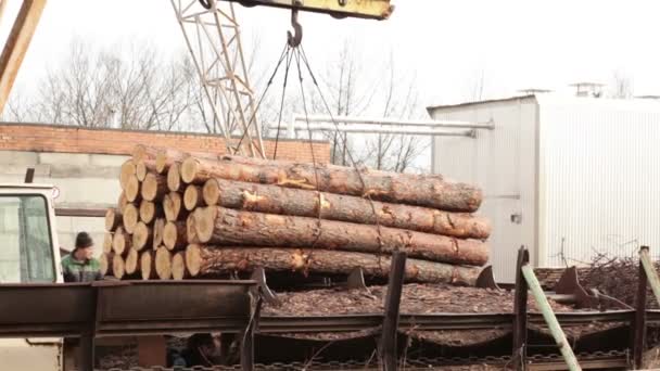 Guindaste para transporte de madeira — Vídeo de Stock
