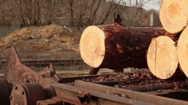 Hout scheepvaart mechanisme — Stockvideo