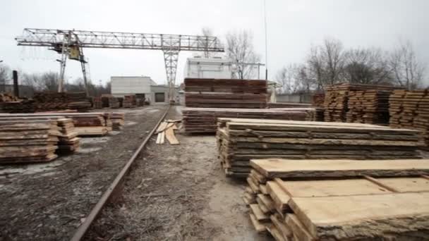 Αποθήκη ξύλο ξυλεία — Αρχείο Βίντεο