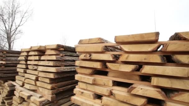 Holzlagerhaus Holz — Stockvideo