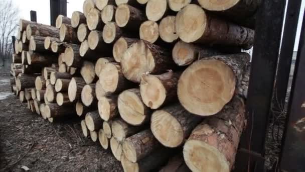 木材库存木材板 — 图库视频影像
