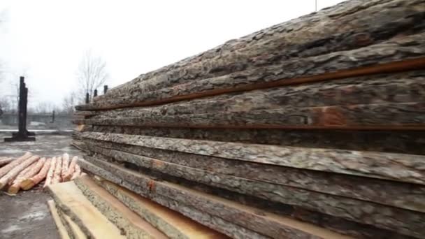 Timmer lager trä — Stockvideo