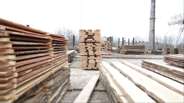 Holzlagerhaus Holz — Stockvideo