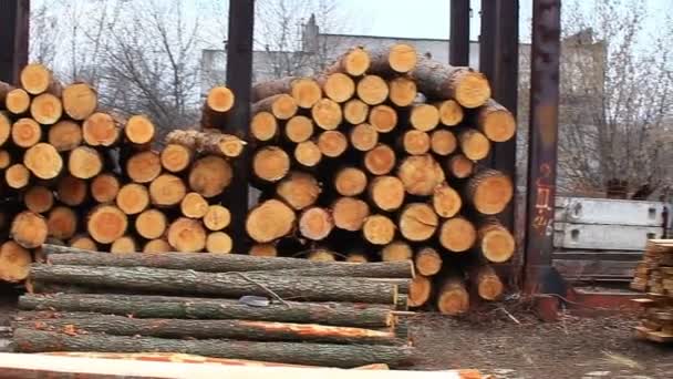 Stack of logs on the open stock — Stock Video