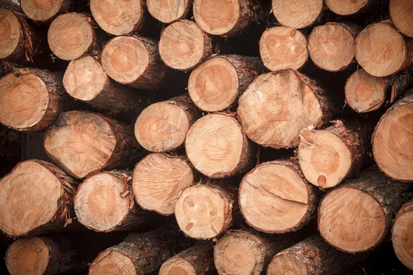 Logs stacked texture — Stock Photo, Image