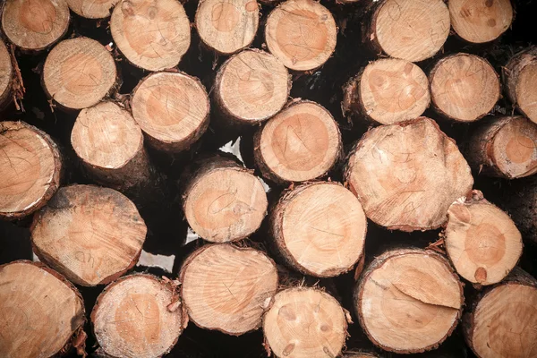 Rejestruje stos drewna — Zdjęcie stockowe