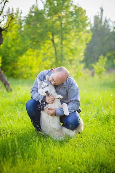 Hombre y perro Husky en el parque . —  Fotos de Stock