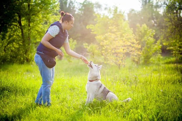 Jeune belle fille jouer avec husky — Photo