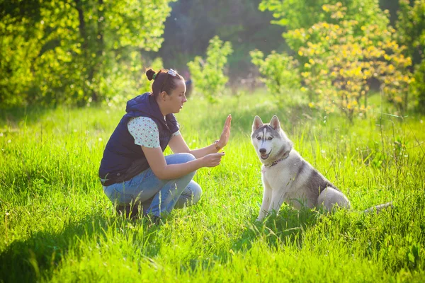 Jovem menina bonita brincando com husky — Fotografia de Stock