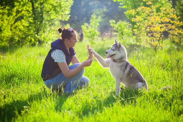 Joven hermosa chica jugando con husky —  Fotos de Stock