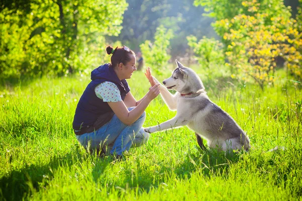 Jovem menina bonita brincando com husky — Fotografia de Stock