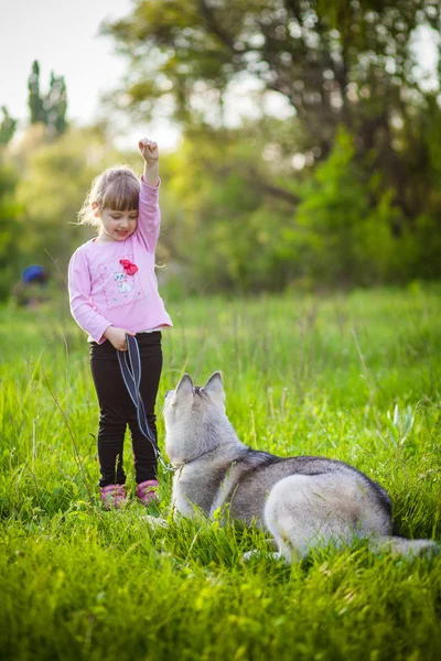 Little girl in the park with a dog Husky — Stock Photo, Image