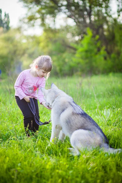 Little girl in the park with a dog Husky — Stock Photo, Image