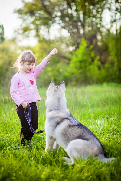 Little girl in the park with a dog Husky — Stock Photo, Image