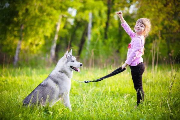 Liten flicka i parken med en hund Husky — Stockfoto