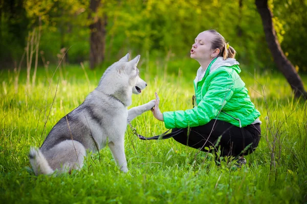 Joven mujer jugar con husky —  Fotos de Stock
