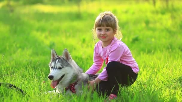 Menina brincando com um cachorro — Vídeo de Stock