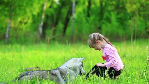 Niña jugando con perro en graas verdes — Vídeo de stock