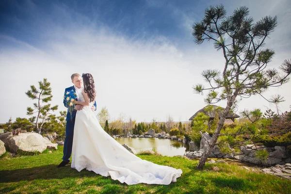 Wedding happy couple holding hands — Stock Photo, Image