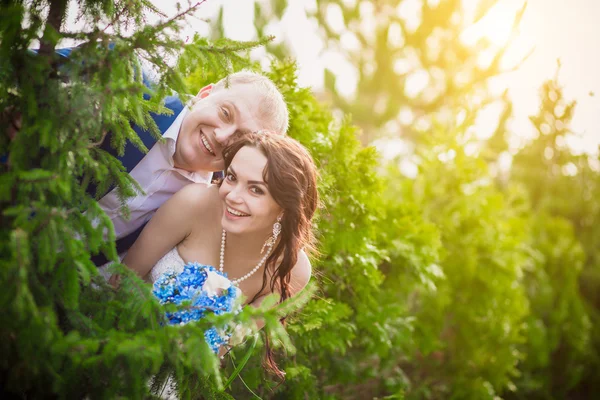 Hochzeitsfoto von Braut und Bräutigam im Park — Stockfoto
