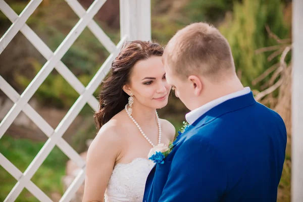 Gelin ve damat Park Düğün çekim