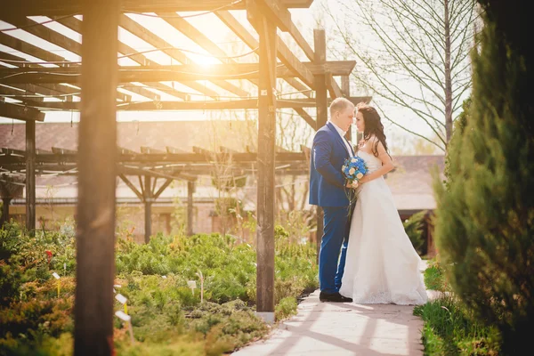 Boda feliz pareja cogida de la mano — Foto de Stock