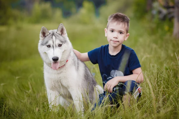 Boy playing with husky sitting on grass — Stock Photo, Image