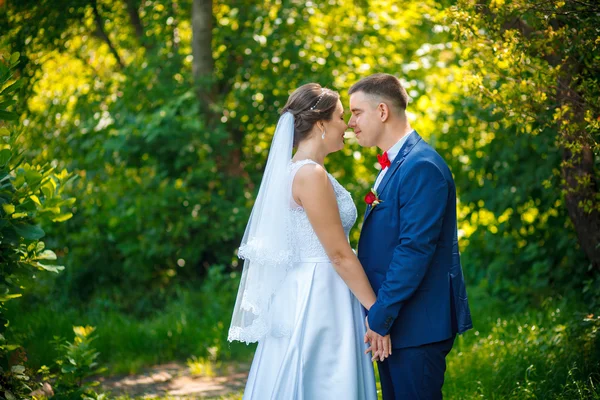 Elegante novio elegante con su hermosa novia morena feliz en el fondo de los árboles en el parque — Foto de Stock