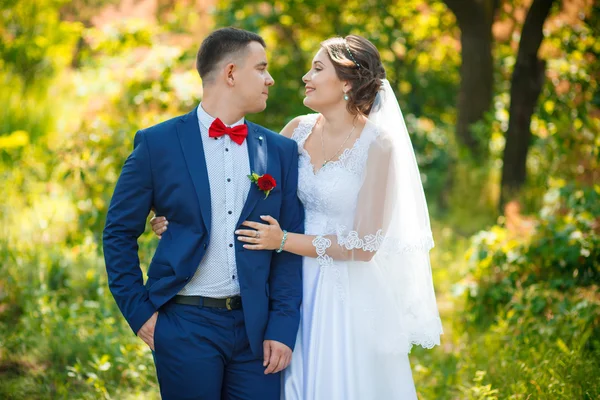 Casal encantador beijo — Fotografia de Stock