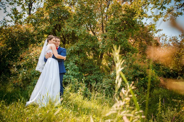 Elegant stylish groom with his happy gorgeous brunette bride on the background of trees in the park — Stock Photo, Image