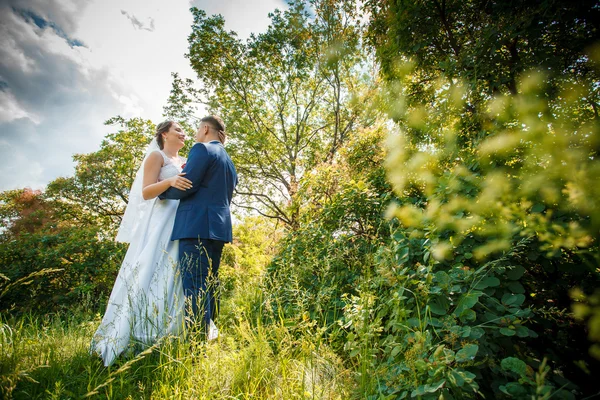 Elegante noivo elegante com sua noiva morena linda feliz no fundo das árvores no parque — Fotografia de Stock