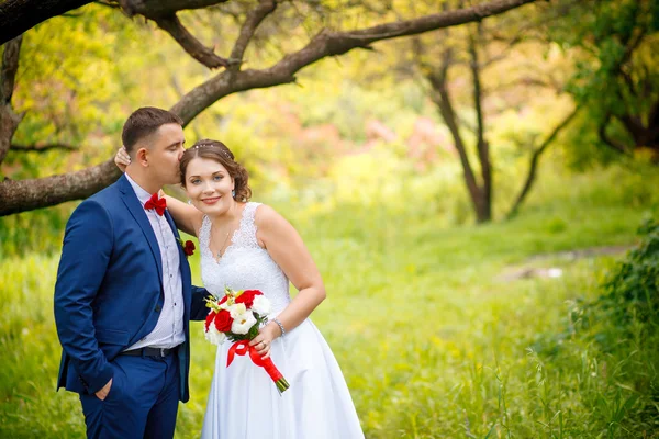Elegante sposo elegante con la sua felice splendida sposa bruna sullo sfondo di alberi nel parco — Foto Stock