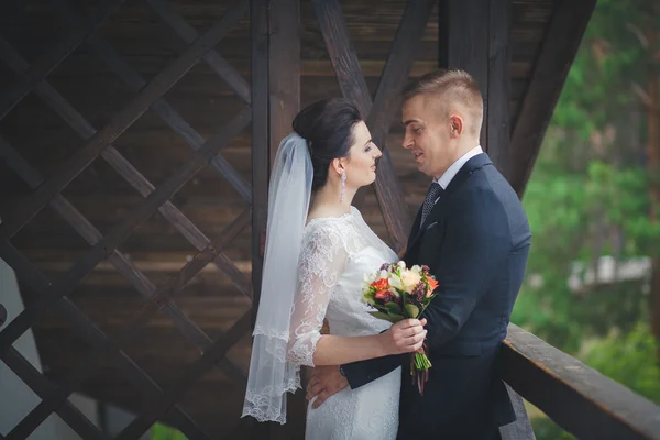 Estos momentos felices románticos de pareja de boda . —  Fotos de Stock