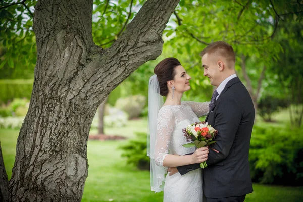 Bruiloft shot van de bruid en bruidegom in park — Stockfoto